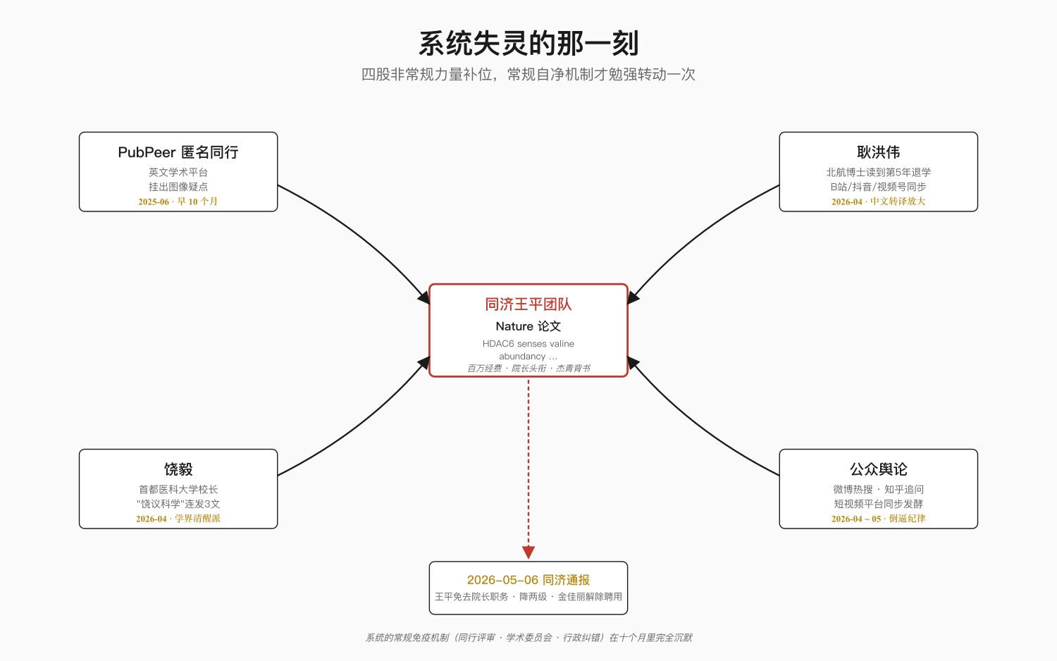 图 1：系统失灵的那一刻——四股非常规力量合力补位图